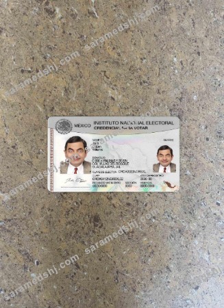 Mexico instituto nacional electoral photolook FRONT